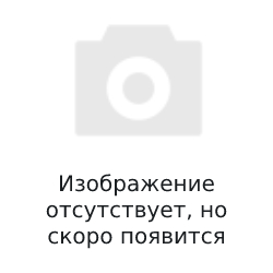 ОГЭ 2025 Физика. Отличный результат