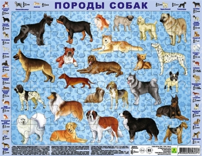 Детский пазл на подложке. Породы собак. (36х28 см, 63 элементов)